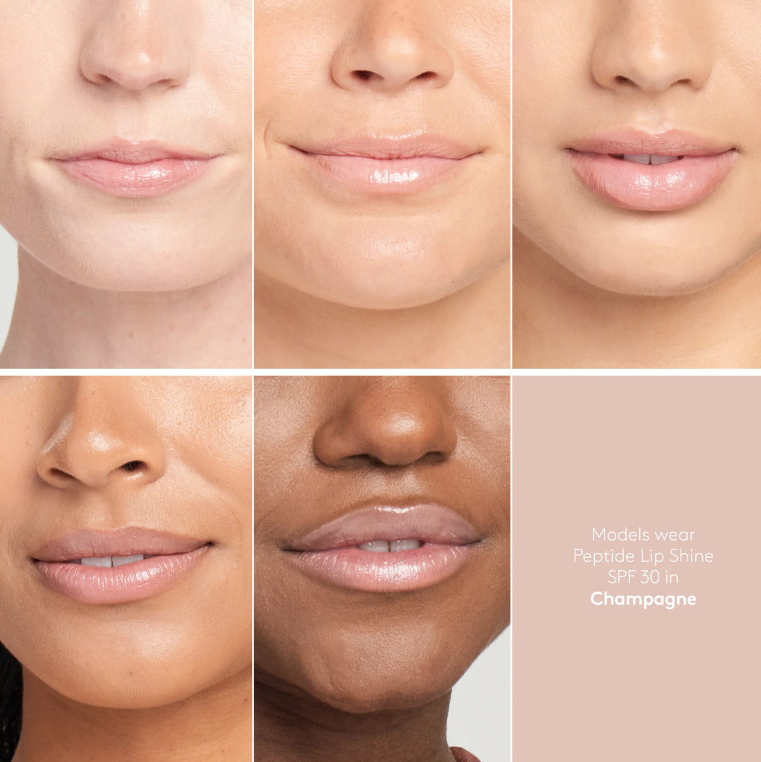 Peptide Lip Shine SPF 30